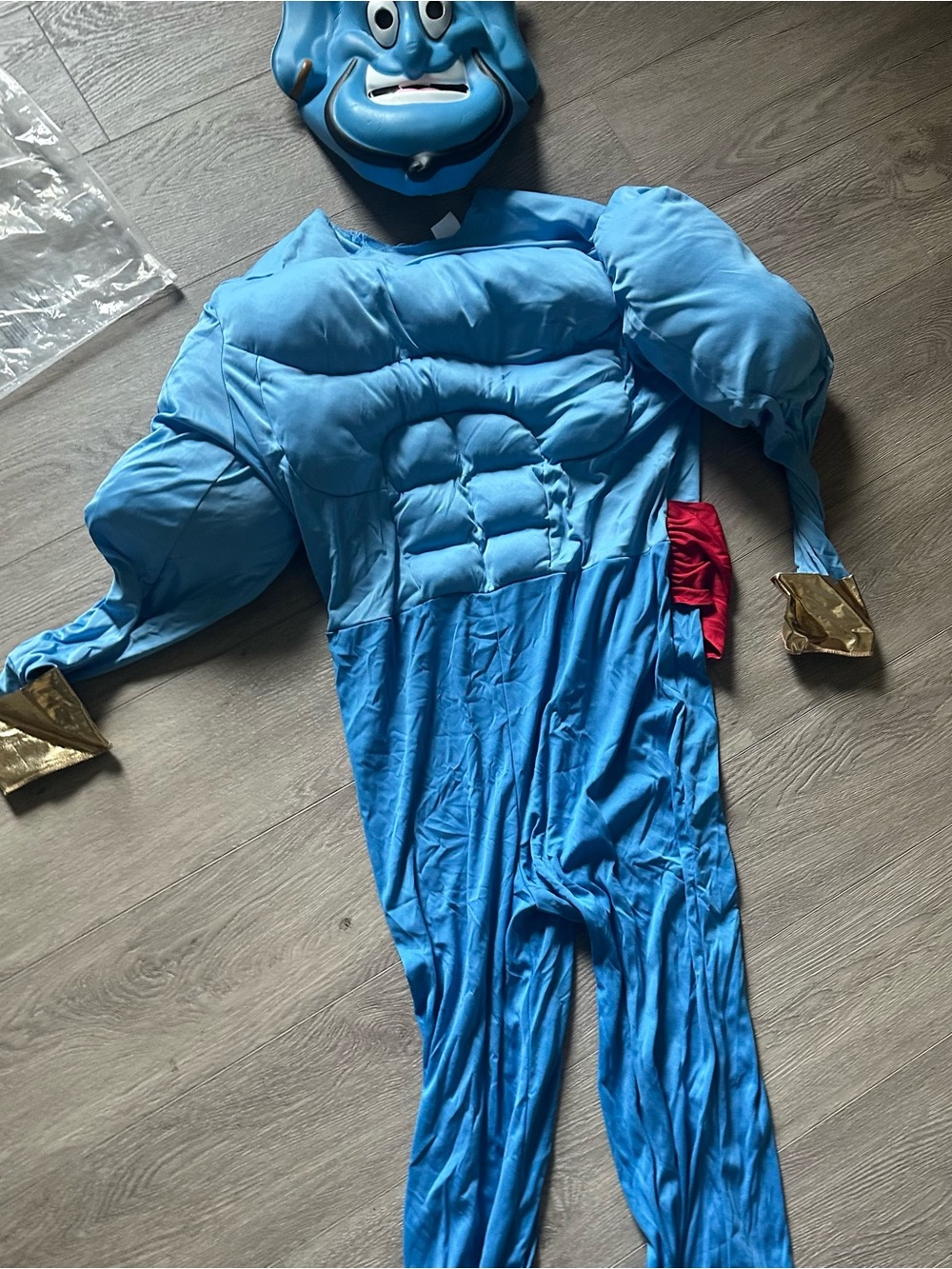 Aladdin Costume - Picture 3 of 4